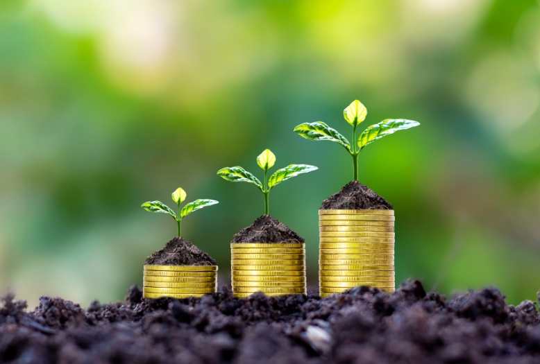 Debt Free Ensuring financial stability